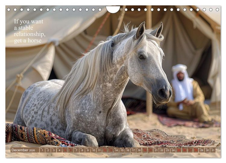 Produktbild: A Horse Makes You Complete (Wall Calendar 2026 DIN A4 landscape), CALVENDO 12 Month Wall Calendar