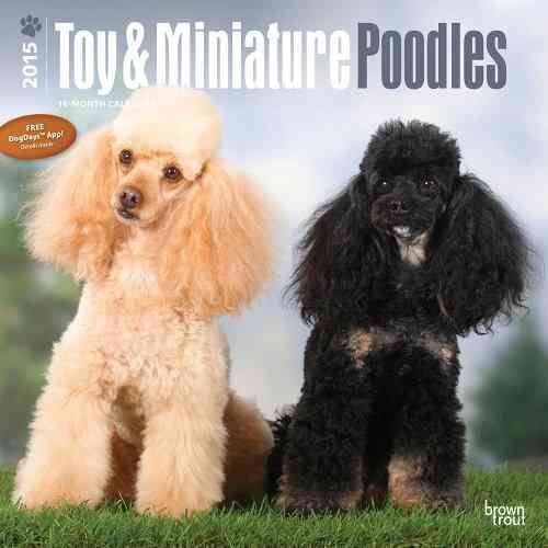 Produktbild: Toy and Miniature Poodles 2015 - Toypudel und Zwergpudel