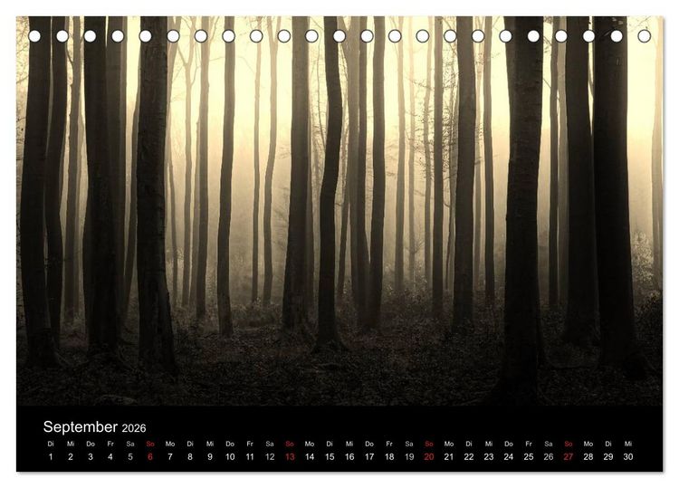 Produktbild: Faszination Wald. Waldimpressionen aus Nordhessen von Lutz Klapp (Tischkalender 2026 DIN A5 quer), CALVENDO Monatskalender