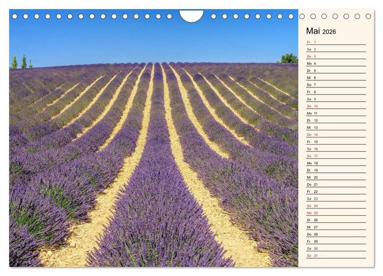 Produktbild: Verzaubernde Provence (Wandkalender 2026 DIN A4 quer), CALVENDO Monatskalender
