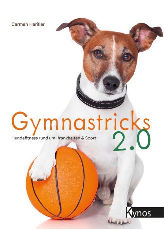 Produktbild: Gymnastricks 2.0