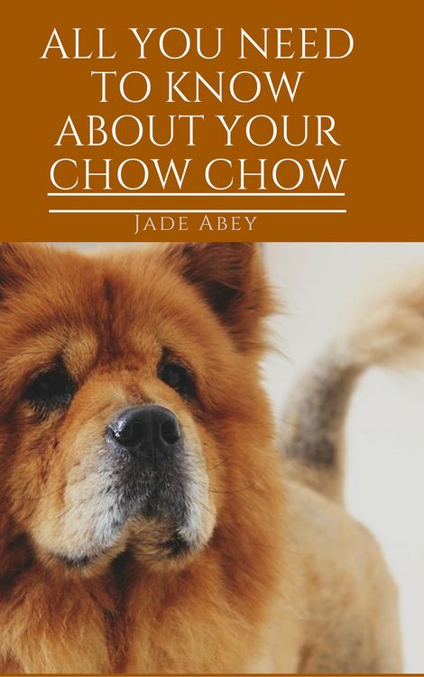 Produktbild: All About Your Chow Chow (Animal Lover, #3)
