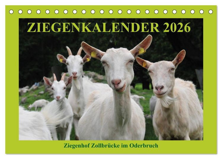 Produktbild: Ziegenkalender 2026 (Tischkalender 2026 DIN A5 quer), CALVENDO Monatskalender
