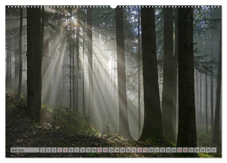 Produktbild: Mit B&auml;umen durchs Jahr (hochwertiger Premium Wandkalender 2026 DIN A2 quer), Kunstdruck in Hochglanz