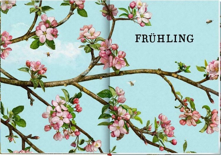 Produktbild: Das gro&szlig;e Buch vom Apfelbaum