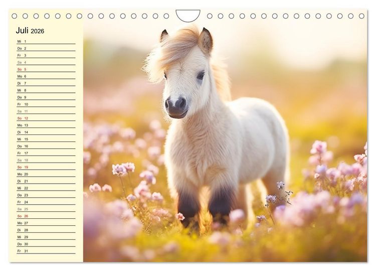 Produktbild: Kleine Pferde. Mini-Ponys zum verlieben (Wandkalender 2026 DIN A4 quer), CALVENDO Monatskalender
