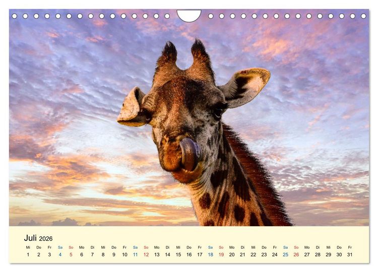 Produktbild: Giraffen, die Sch&ouml;nen der Savanne (Wandkalender 2026 DIN A4 quer), CALVENDO Monatskalender