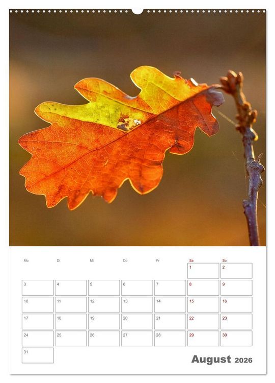 Produktbild: Planen mit dem Symbol der inneren St&auml;rke (Wandkalender 2026 DIN A2 hoch), CALVENDO Monatskalender