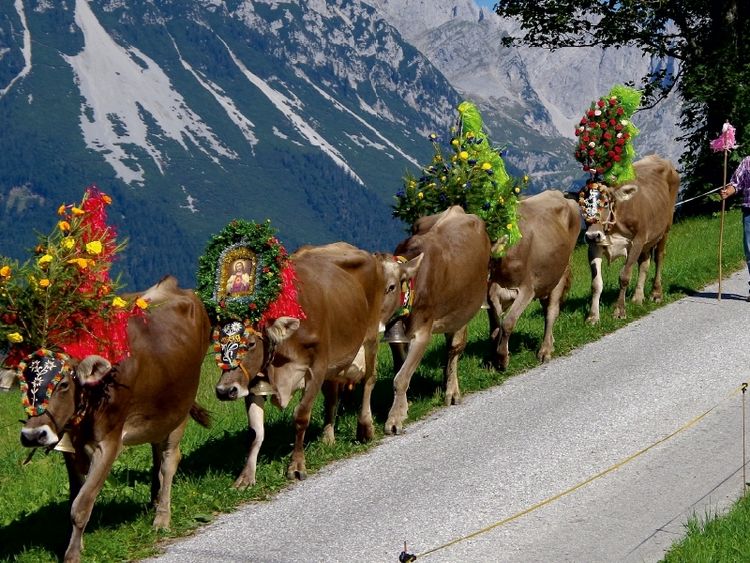 Produktbild: CALVENDO Puzzle Der Schluss des Zuges kommt vorbei | 1000 Teile Lege-Gr&ouml;&szlig;e 64x48cm Foto-Puzzle f&uuml;r gl&uuml;ckliche Stunden