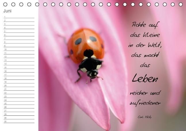 Produktbild: LEBENSGL&Uuml;CK (Tischkalender immerw&auml;hrend DIN A5 quer)