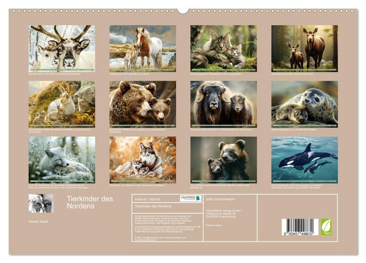 Produktbild: Tierkinder des Nordens (hochwertiger Premium Wandkalender 2026 DIN A2 quer), Kunstdruck in Hochglanz