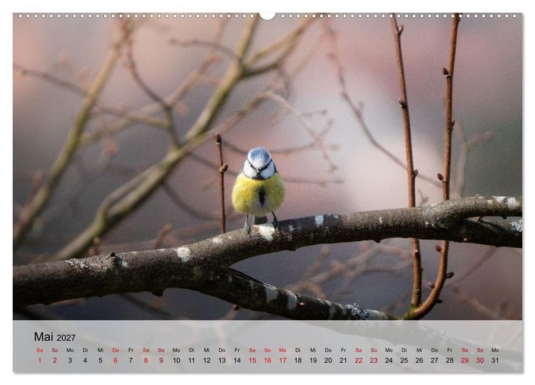 Produktbild: Magische Tiermomente (hochwertiger Premium Wandkalender 2027 DIN A2 quer), Kunstdruck in Hochglanz