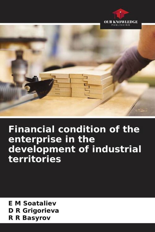 Produktbild: Financial condition of the enterprise in the development of industrial territories