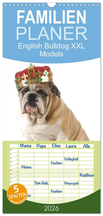 Produktbild: Familienplaner 2026 - English Bulldog XXL Models mit 5 Spalten (Wandkalender, 21 x 45 cm) CALVENDO