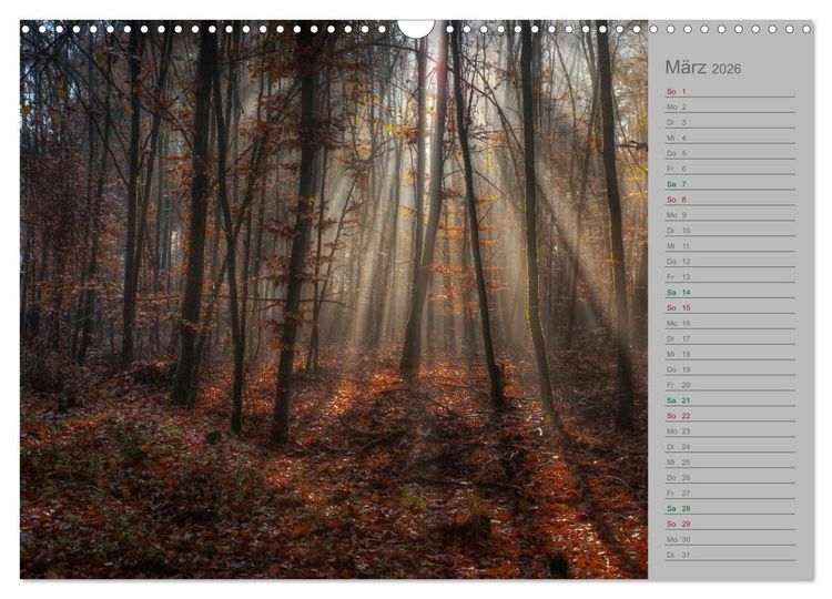 Produktbild: Planungskalender M&auml;rchenwald 2026 (Wandkalender 2026 DIN A3 quer), CALVENDO Monatskalender
