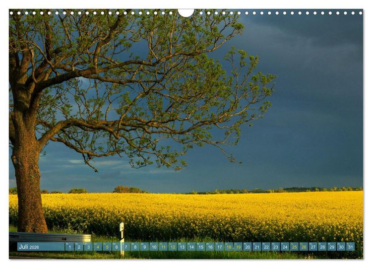 Produktbild: Buschvitz - Geografischer Mittelpunkt der Insel R&uuml;gen (Wandkalender 2026 DIN A3 quer), CALVENDO Monatskalender