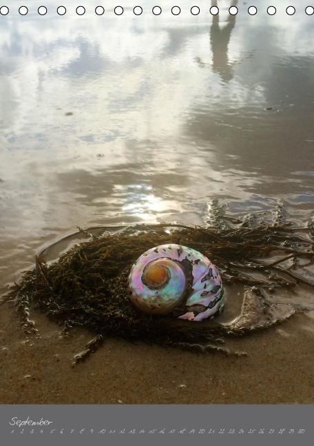 Produktbild: Meerblick (Tischkalender immerw&auml;hrend DIN A5 hoch)