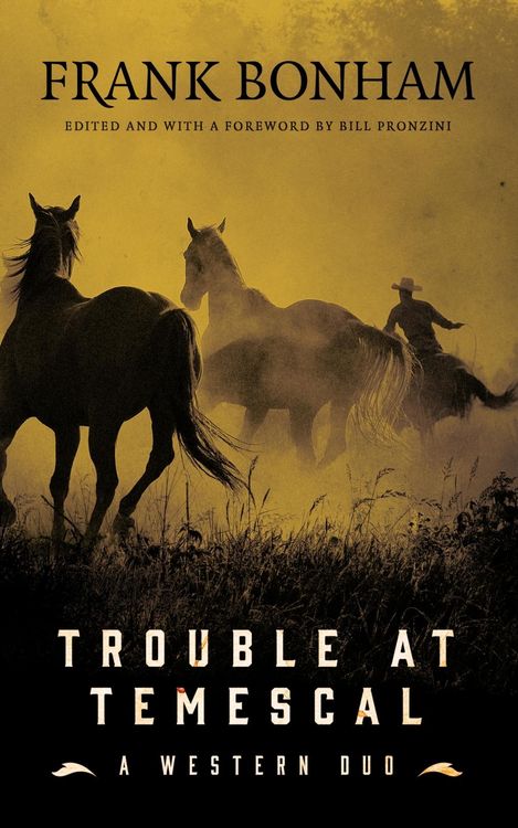 Produktbild: Trouble at Temescal