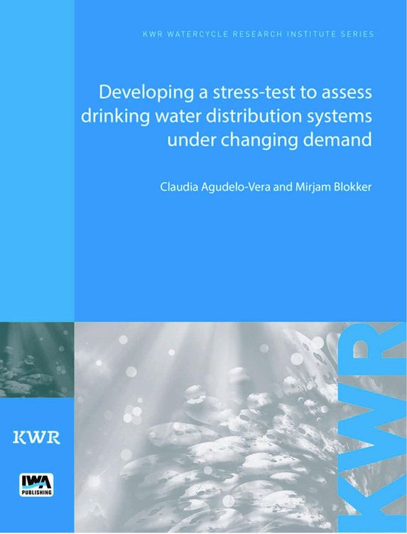 Produktbild: Developing a Stress-Test to Assess Drinking Water Distribution Systems Under Changing Demand