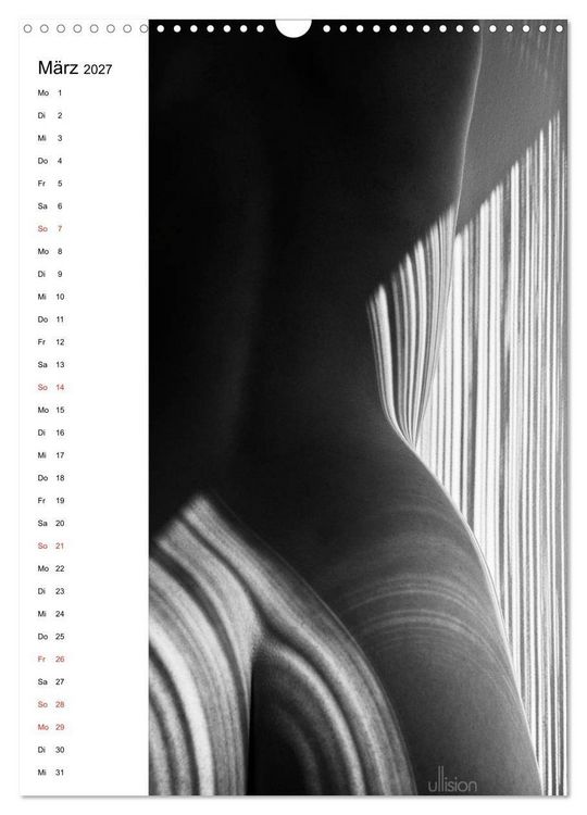 Produktbild: Akt abstrakt (Wandkalender 2027 DIN A3 hoch), CALVENDO Monatskalender