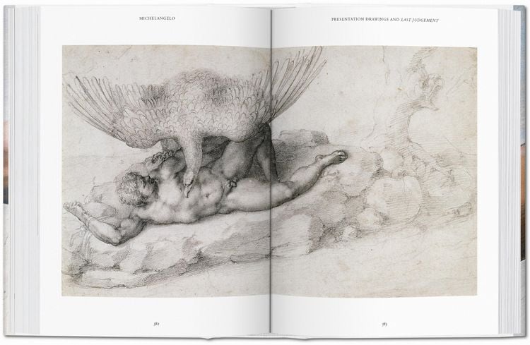 Produktbild: Michelangelo. Das vollst&auml;ndige Werk. Malerei, Skulptur, Architektur
