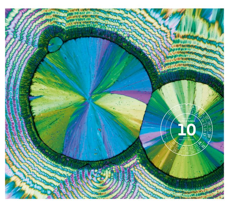 Produktbild: The Art of Science Kalender 2027 | Faszinierend-irisierende Mikroskopkunst
