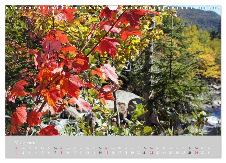 Produktbild: Indian Summer in New England (Wandkalender 2026 DIN A3 quer), CALVENDO Monatskalender