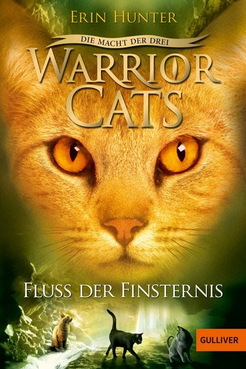 Produktbild: Warrior Cats - Die Macht der Drei. Fluss der Finsternis