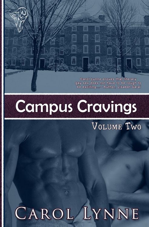 Produktbild: Campus Cravings Vol2