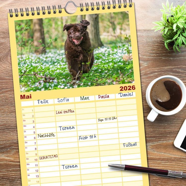 Produktbild: Familienplaner 2026 - Neufundl&auml;nder - Ein b&auml;renstarker Freund mit 5 Spalten (Wandkalender, 21 x 45 cm) CALVENDO
