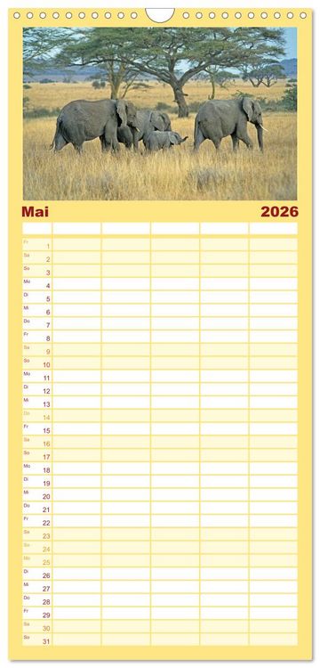 Produktbild: Familienplaner 2026 - Elefanten in der Serengeti mit 5 Spalten (Wandkalender, 21 x 45 cm) CALVENDO