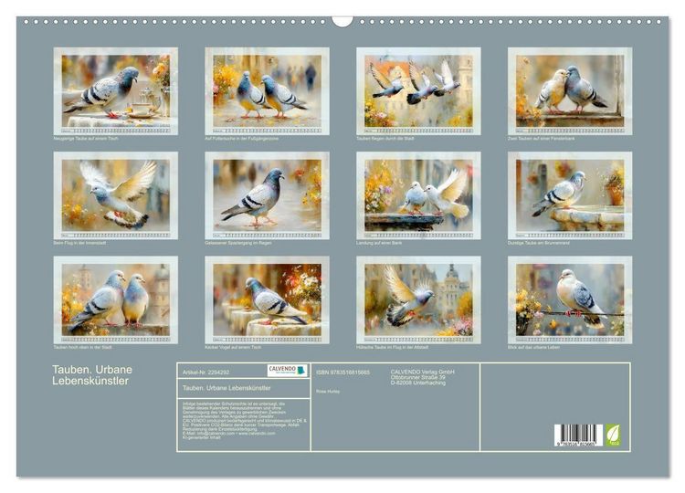 Produktbild: Tauben. Urbane Lebensk&uuml;nstler (Wandkalender 2027 DIN A2 quer), CALVENDO Monatskalender