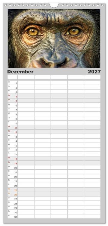 Produktbild: Familienplaner 2027 - Die Augen der Wildnis mit 5 Spalten (Wandkalender, 21 x 45 cm) CALVENDO
