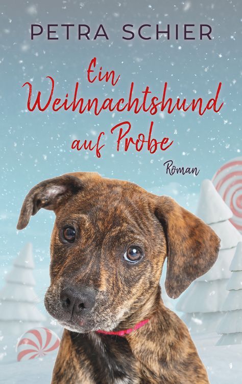 Produktbild: Ein Weihnachtshund auf Probe