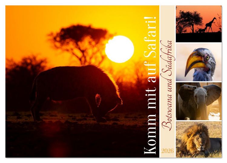 Produktbild: Komm mit auf Safari! Botswana und S&uuml;dafrika (Tischkalender 2026 DIN A5 quer), CALVENDO Monatskalender
