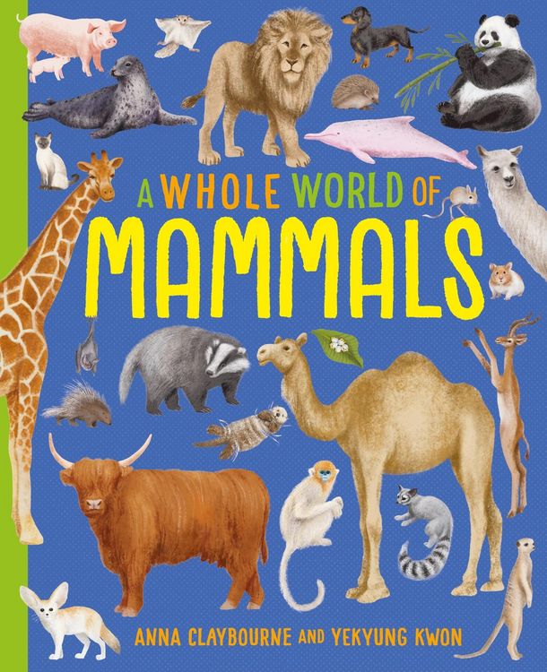 Bild vom Artikel A Whole World of...: Mammals vom Autor Anna Claybourne