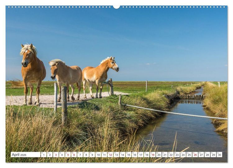 Produktbild: Schleswig-Holstein (Wandkalender 2026 DIN A2 quer), CALVENDO Monatskalender