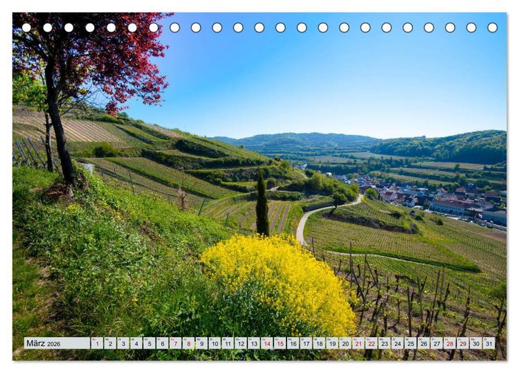 Produktbild: Weinregion Kaiserstuhl (Tischkalender 2026 DIN A5 quer), CALVENDO Monatskalender