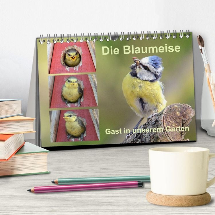 Produktbild: Die Blaumeise, Gast in unserem Garten (Tischkalender 2026 DIN A5 quer), CALVENDO Monatskalender
