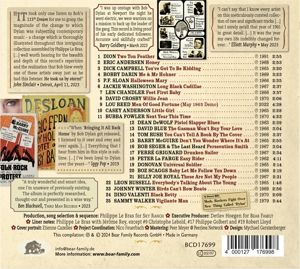 Produktbild: He Took Us By Storm - 25 Lost Classics from the Bob Dylan Folk-Rock Revolution Era