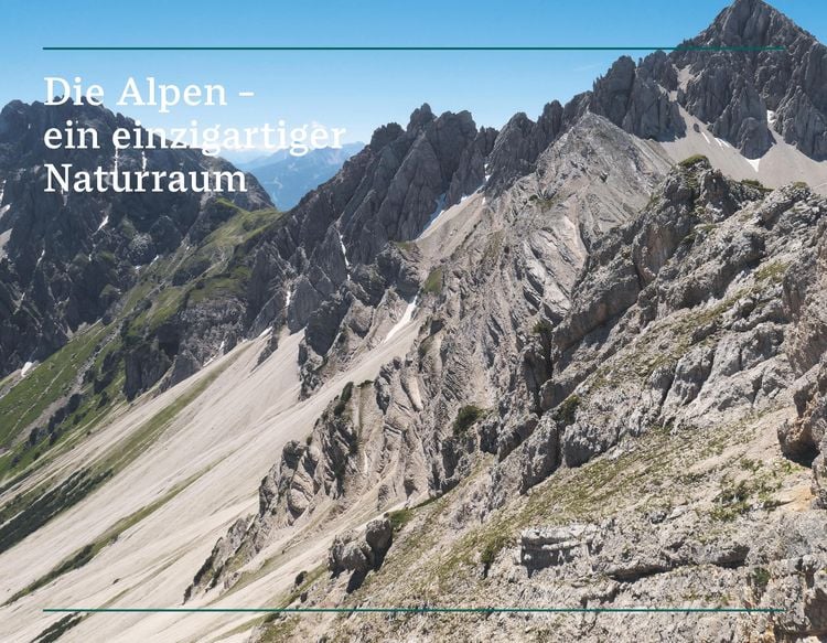 Produktbild: Der illustrierte Naturf&uuml;hrer Alpen