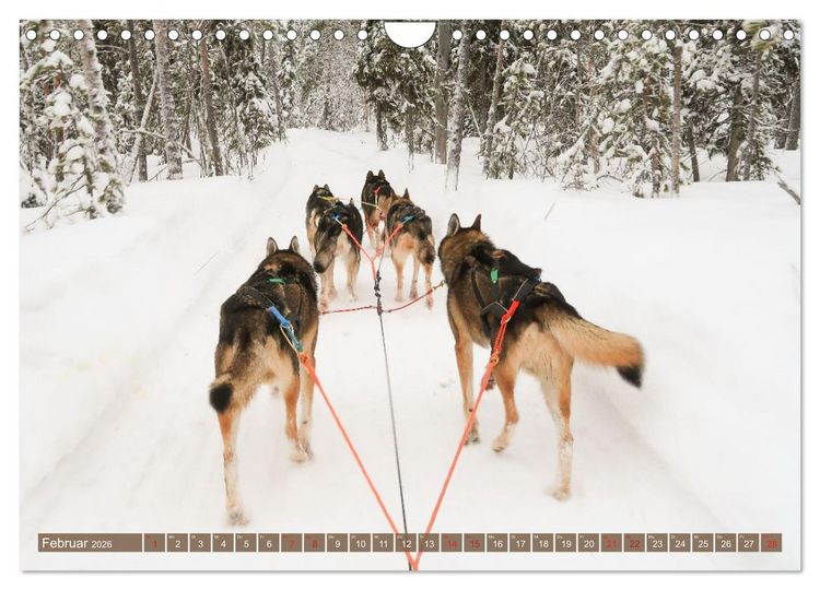 Produktbild: Finnisch Lappland (Wandkalender 2026 DIN A4 quer), CALVENDO Monatskalender