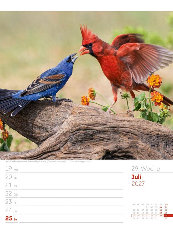 Produktbild: V&ouml;gel Wochenplaner Kalender 2027