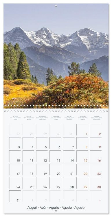 Produktbild: The Alps - A Year in the Mountains (Wall Calendar 2026 12 &times; 12 Inch) CALVENDO 12 Month Wall Calendar