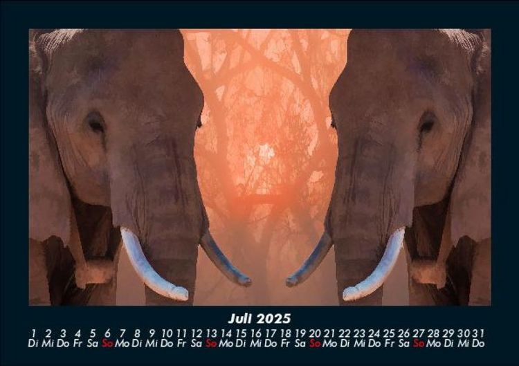 Produktbild: Welt der Tiere 2025 Fotokalender DIN A5