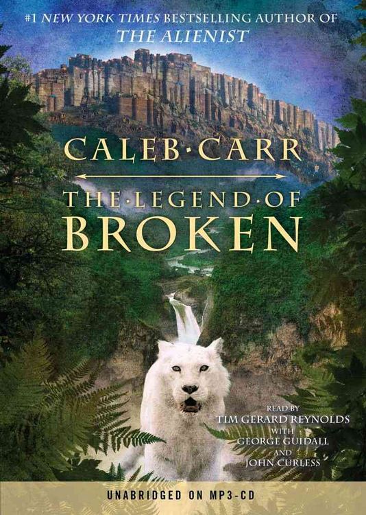Legend Of Broken 3m