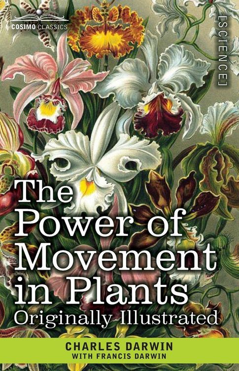 Produktbild: The Power of Movement in Plants
