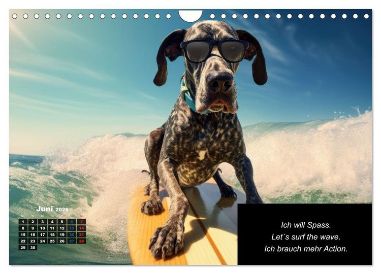 Produktbild: Der humoristische Dogge Kalender (Wandkalender 2026 DIN A4 quer), CALVENDO Monatskalender