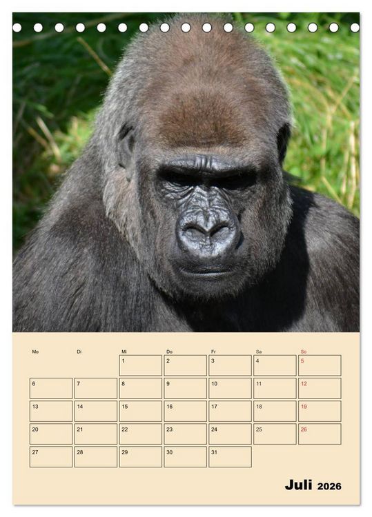 Produktbild: Gorillas (Tischkalender 2026 DIN A5 hoch), CALVENDO Monatskalender