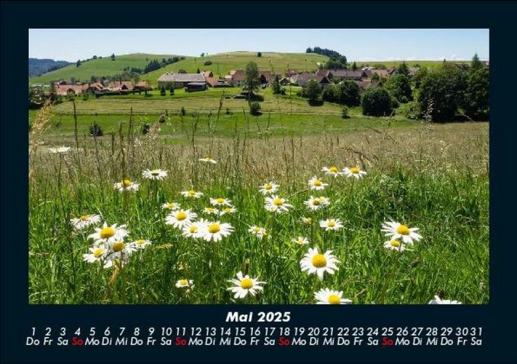 Produktbild: Blumentr&auml;ume 2025 Fotokalender DIN A5